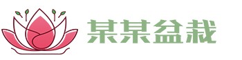 bibo必博(中国)有限公司官方网站